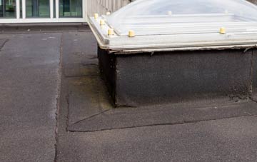 disadvantages of Tyr Felin Isaf flat roofs