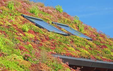 Tyr Felin Isaf living roof systems