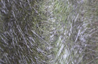 Tyr Felin Isaf fibreglass roof work